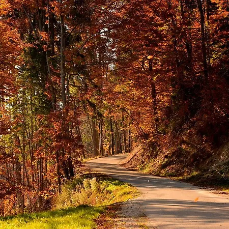 Gatej Cerkno