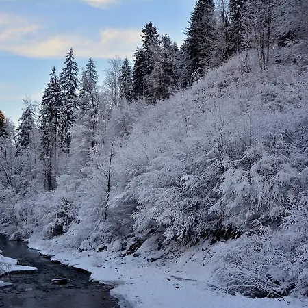 Gatej Апартаменты