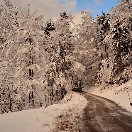 Διαμέρισμα Gatej *