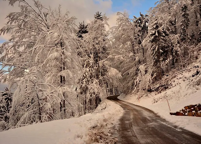 Διαμέρισμα Gatej *